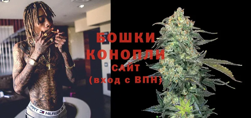 Бошки марихуана OG Kush  мега маркетплейс  Лагань 